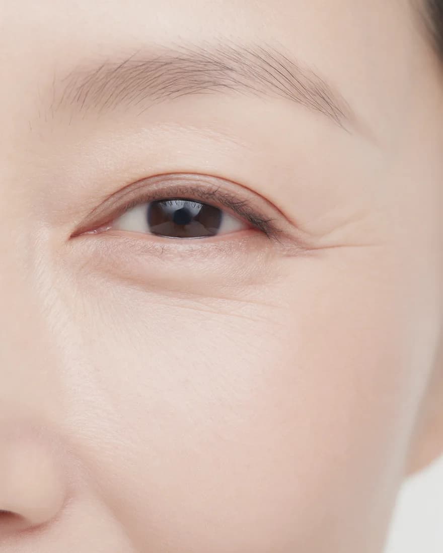 Close-up of an eye and brow, with natural skin texture